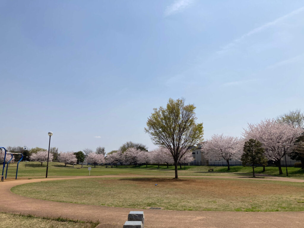 ひたち野おやま公園の周遊歩道