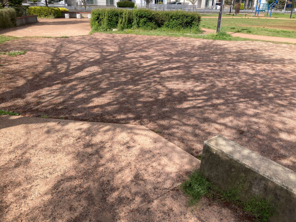 ひたち野おやま公園木陰