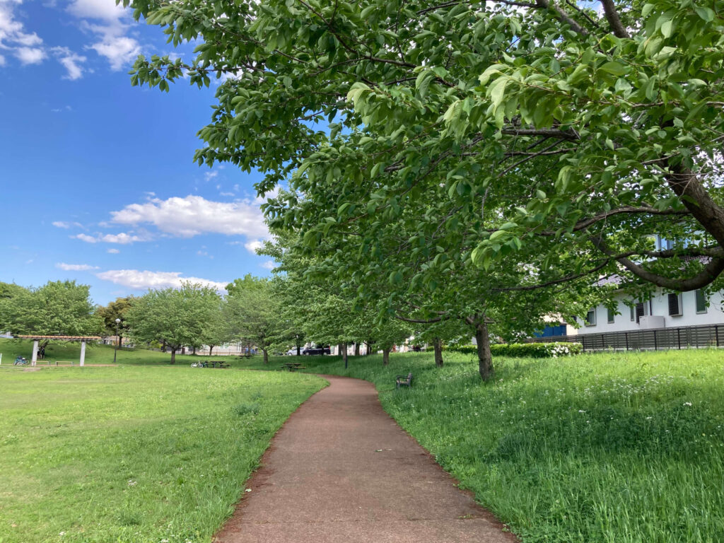 ひたち野おやま公園写真