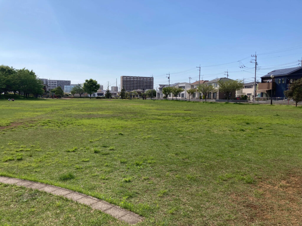 ひたち野おやま公園芝生