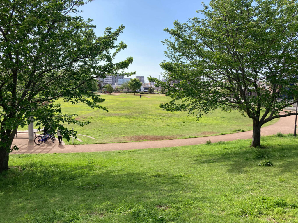 青々としたひたち野おやま公園