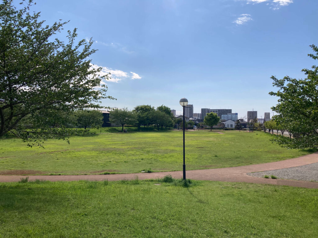 ひたち野おやま公園全体写真