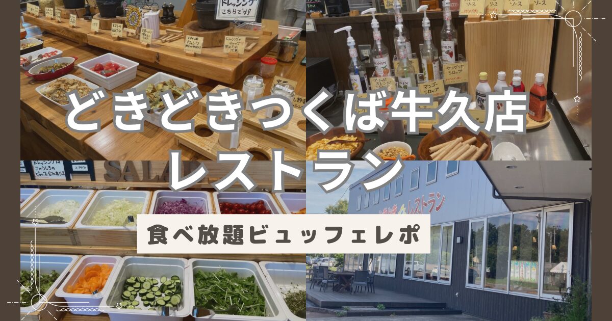 【子連れ食べ放題レポ】ポケットファームどきどき　つくば牛久店　レストランビュッフェ
