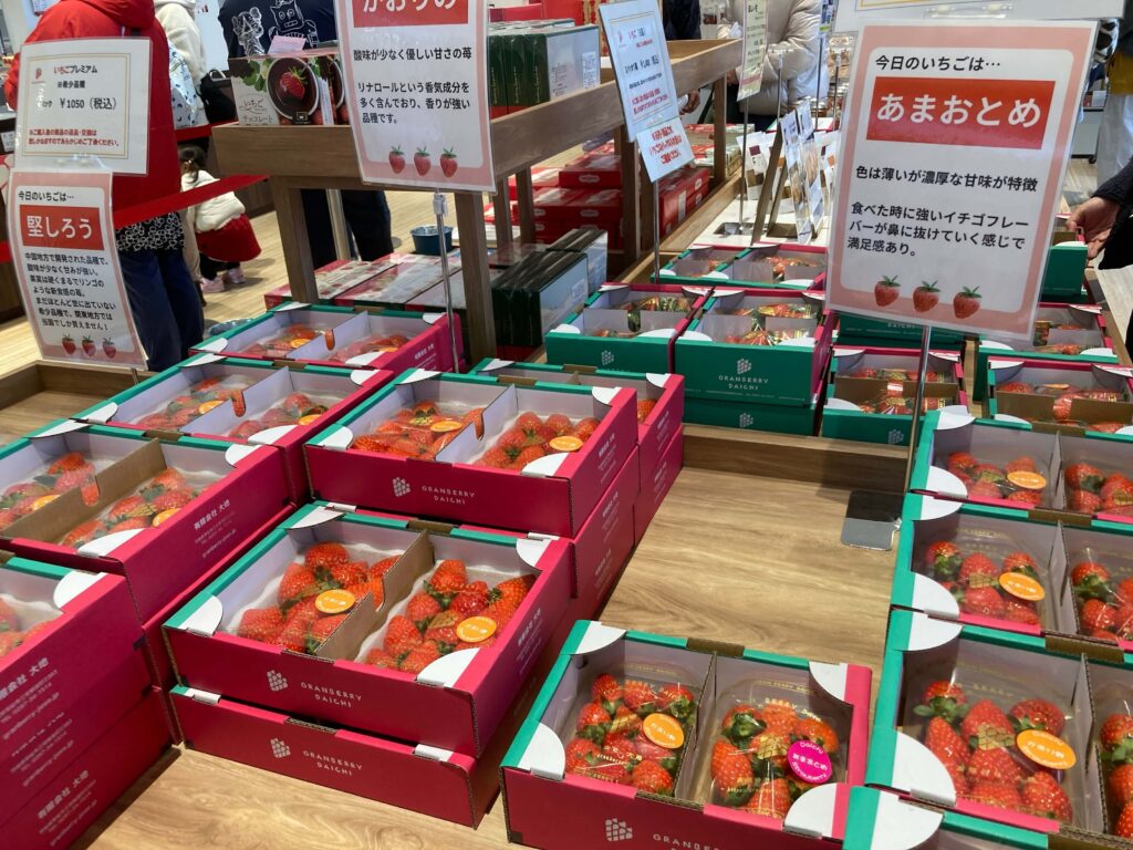 グランベリー大地