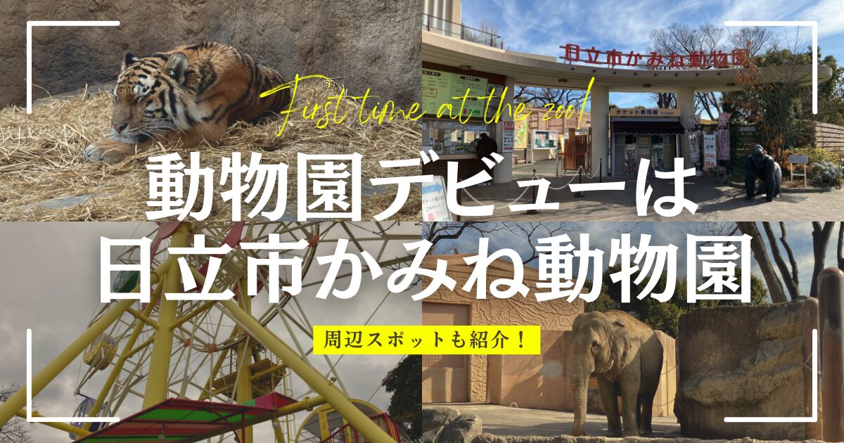 日立市かみね動物園レビュー｜動物園デビューにもおすすめ。シーバーズカフェおさかなセンター魚義も